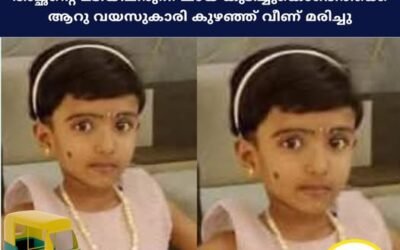 അച്ഛന്റെ മടിയിലിരുന്ന് ചായ കുടിച്ചുകൊണ്ടിരിക്കെ ആറു വയസുകാരി കുഴഞ്ഞ് വീണ് മരിച്ചു